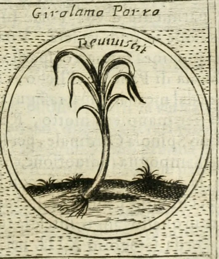 An illustration from Teatro d'imprese, 1623, leaf 1102