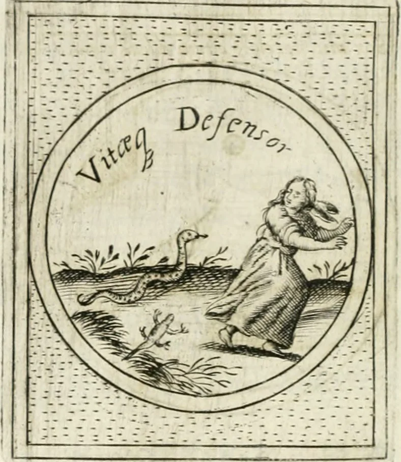 An illustration from Teatro d'imprese, 1623, leaf 1111