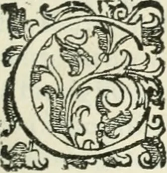 An illustration from Teatro d'imprese, 1623, leaf 1116