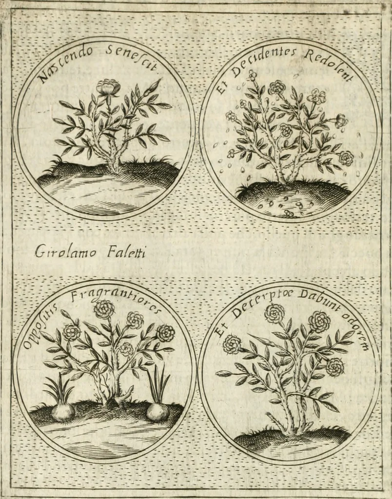 An illustration from Teatro d'imprese, 1623, leaf 1121