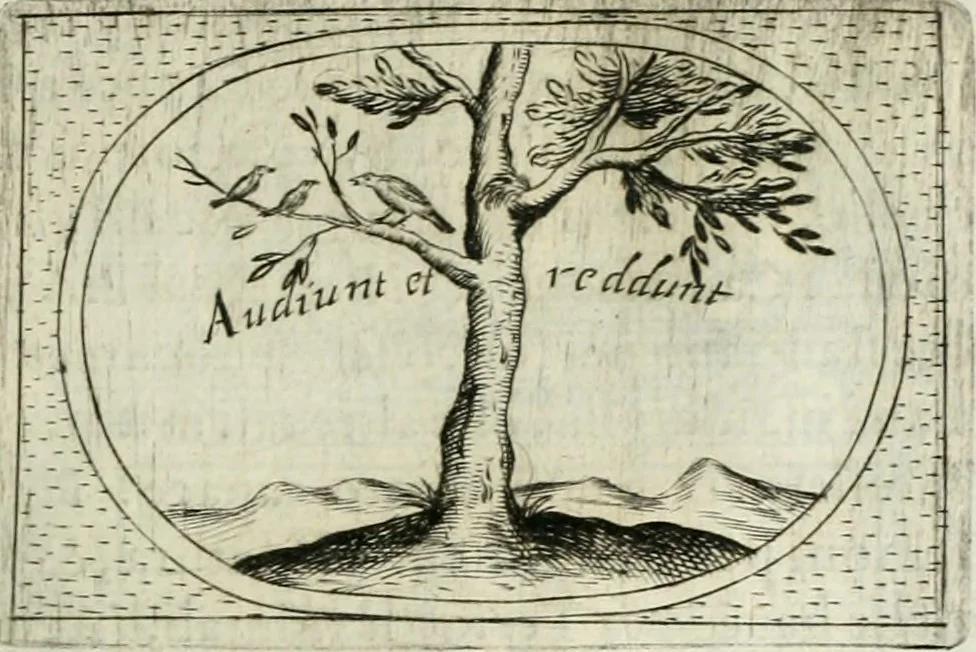 An illustration from Teatro d'imprese, 1623, leaf 1126