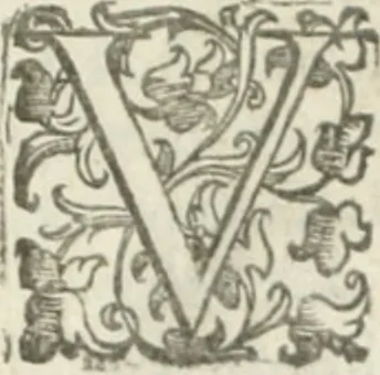 An illustration from Teatro d'imprese, 1623, leaf 1127