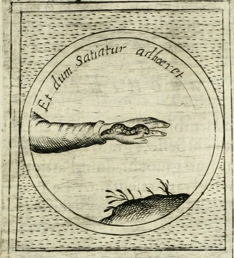An illustration from Teatro d'imprese, 1623, leaf 1130