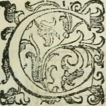 An illustration from Teatro d'imprese, 1623, leaf 1136