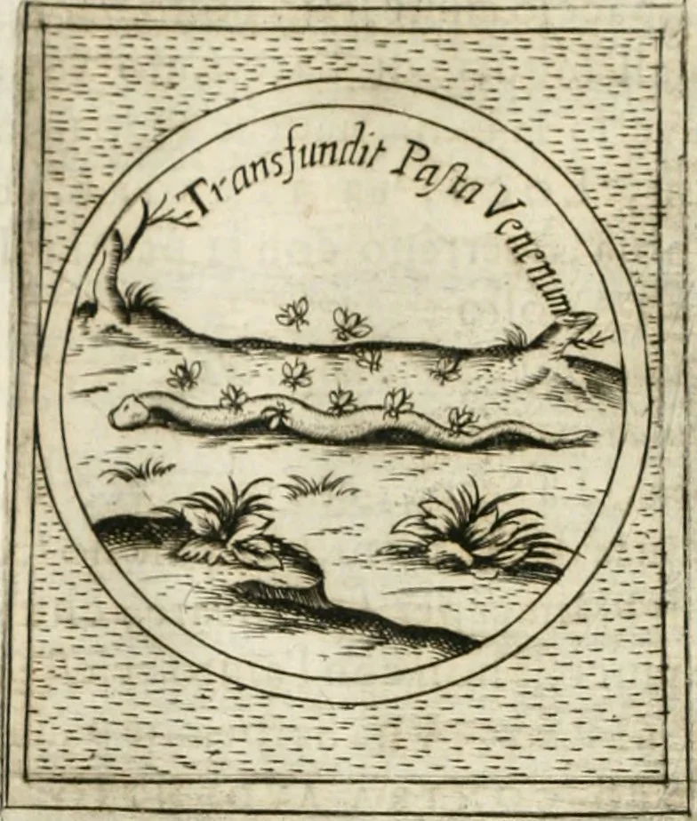 An illustration from Teatro d'imprese, 1623, leaf 1149