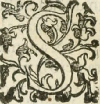 An illustration from Teatro d'imprese, 1623, leaf 1171