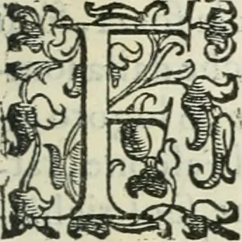 An illustration from Teatro d'imprese, 1623, leaf 1176