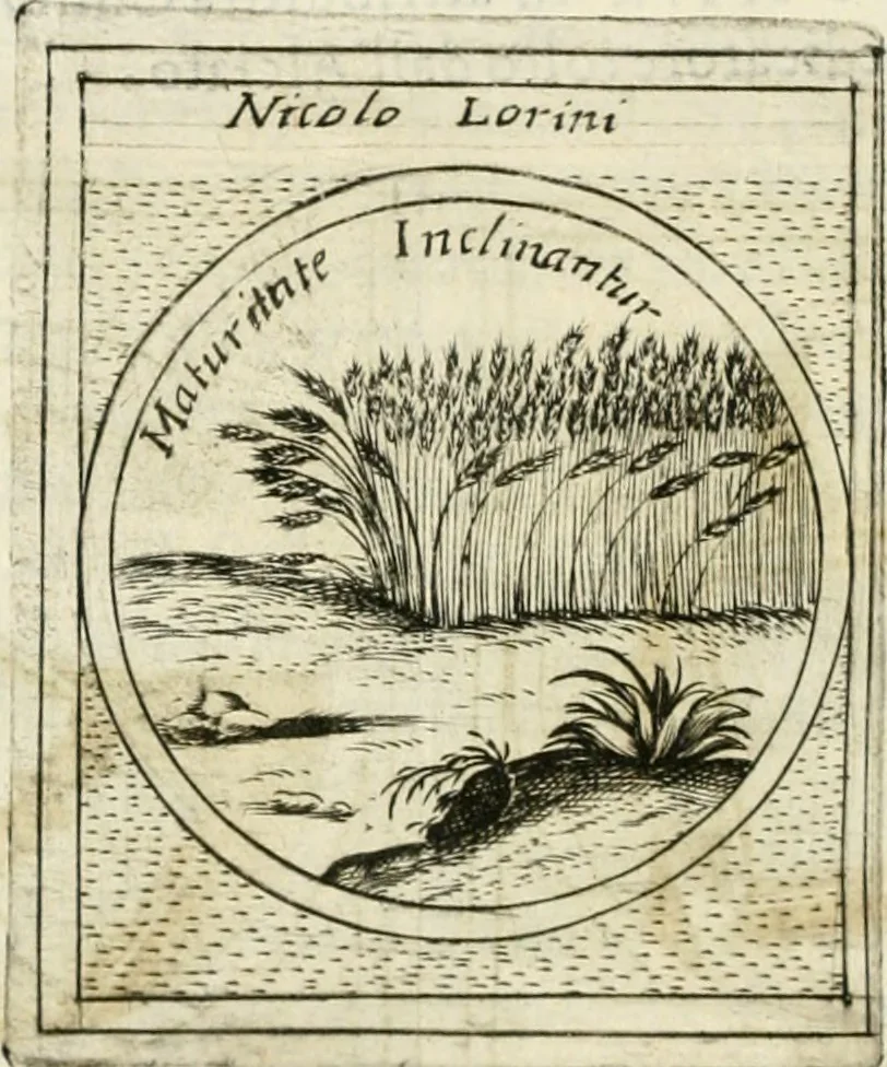 An illustration from Teatro d'imprese, 1623, leaf 1181