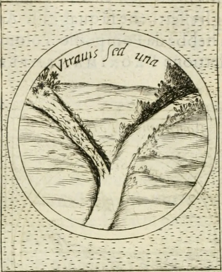 An illustration from Teatro d'imprese, 1623, leaf 1189