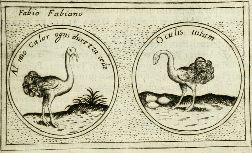 An illustration from Teatro d'imprese, 1623, leaf 1194
