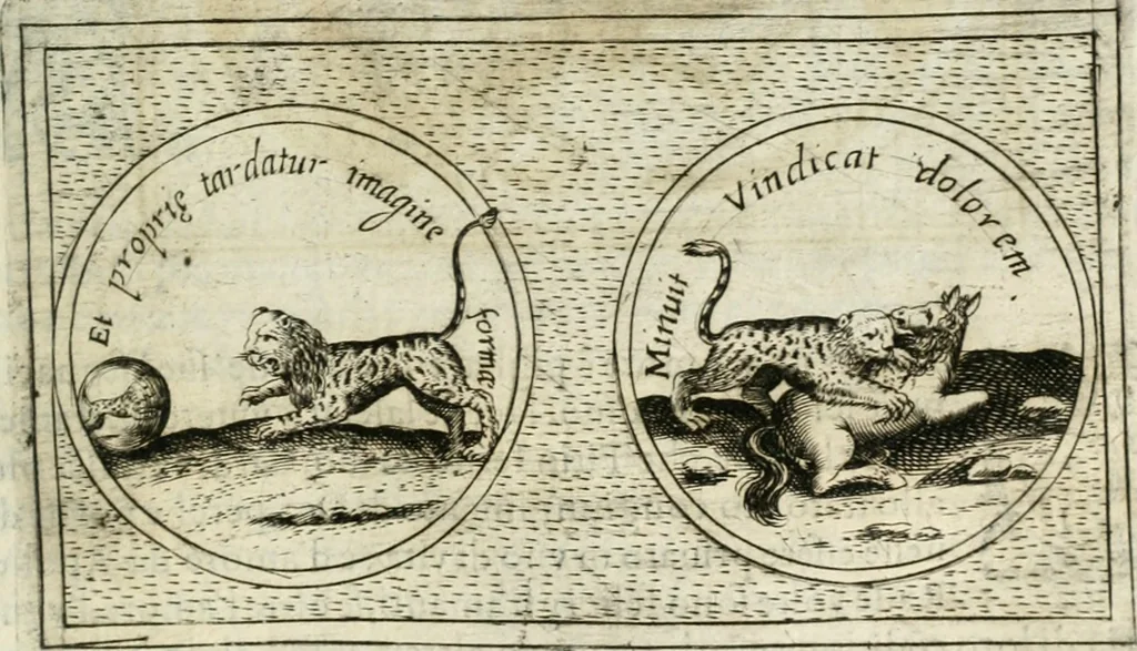 An illustration from Teatro d'imprese, 1623, leaf 1208