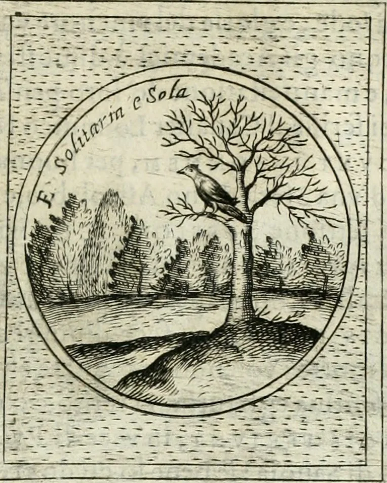 An illustration from Teatro d'imprese, 1623, leaf 1214