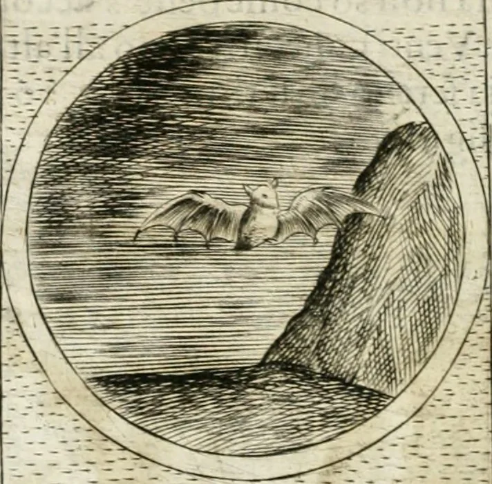 An illustration from Teatro d'imprese, 1623, leaf 1231