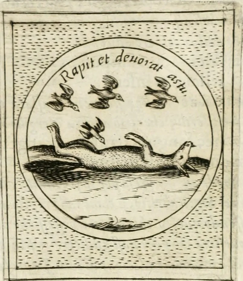 An illustration from Teatro d'imprese, 1623, leaf 1241