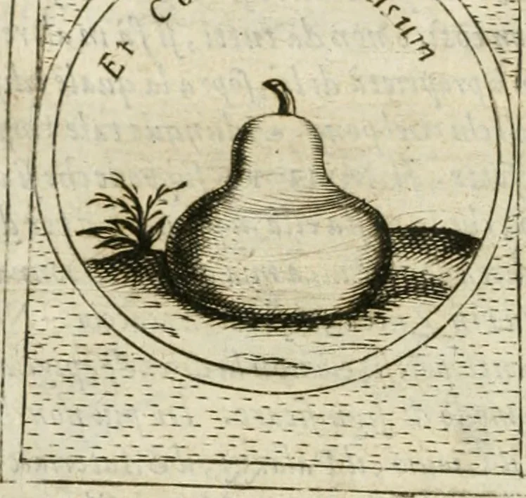 An illustration from Teatro d'imprese, 1623, leaf 1245