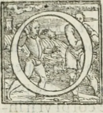 An illustration from Teatro d'imprese, 1623, leaf 131