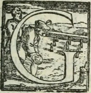 An illustration from Teatro d'imprese, 1623, leaf 142