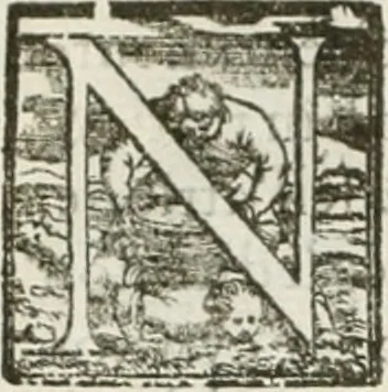 An illustration from Teatro d'imprese, 1623, leaf 255