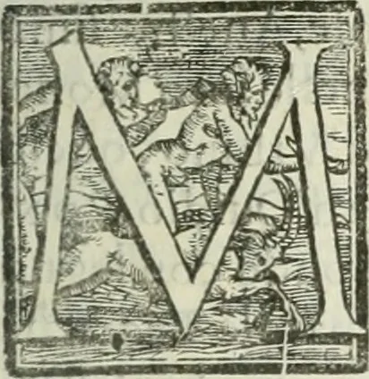 An illustration from Teatro d'imprese, 1623, leaf 274