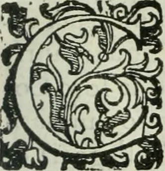 An illustration from Teatro d'imprese, 1623, leaf 316