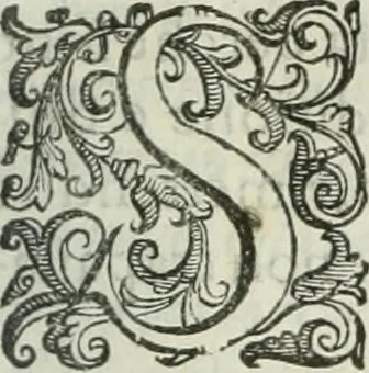 An illustration from Teatro d'imprese, 1623, leaf 324