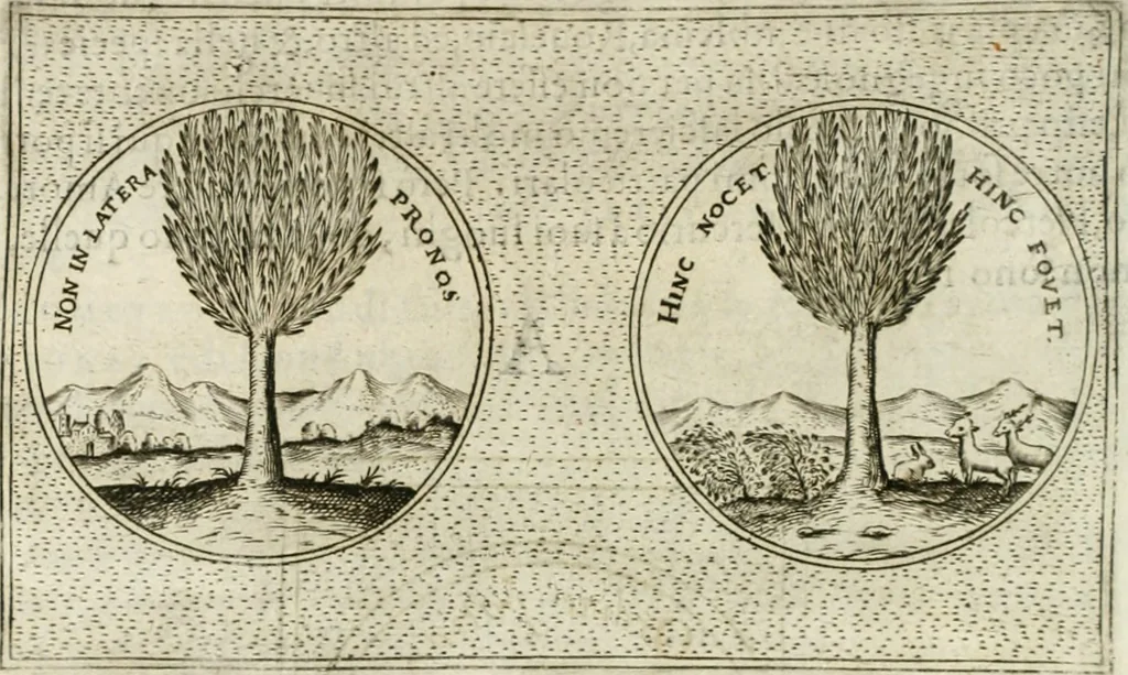 An illustration from Teatro d'imprese, 1623, leaf 531