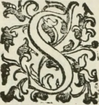 An illustration from Teatro d'imprese, 1623, leaf 535