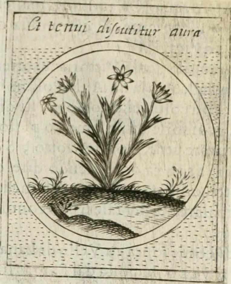 An illustration from Teatro d'imprese, 1623, leaf 543