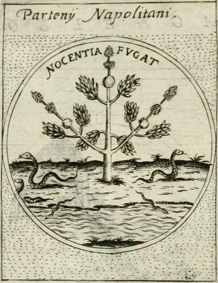 An illustration from Teatro d'imprese, 1623, leaf 547