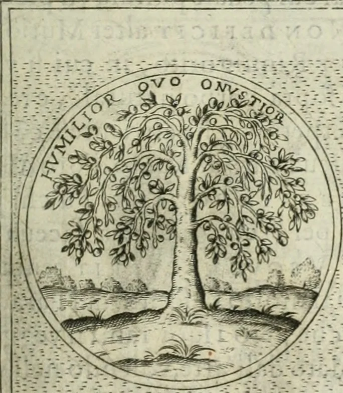 An illustration from Teatro d'imprese, 1623, leaf 550