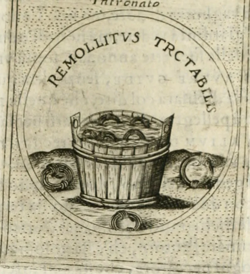 An illustration from Teatro d'imprese, 1623, leaf 559