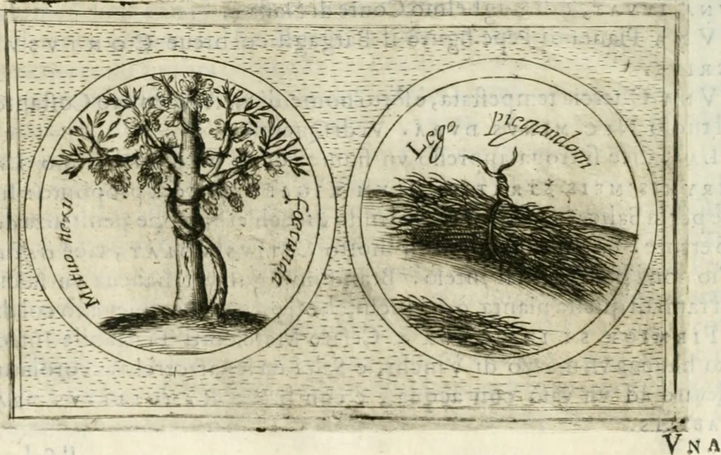 An illustration from Teatro d'imprese, 1623, leaf 559