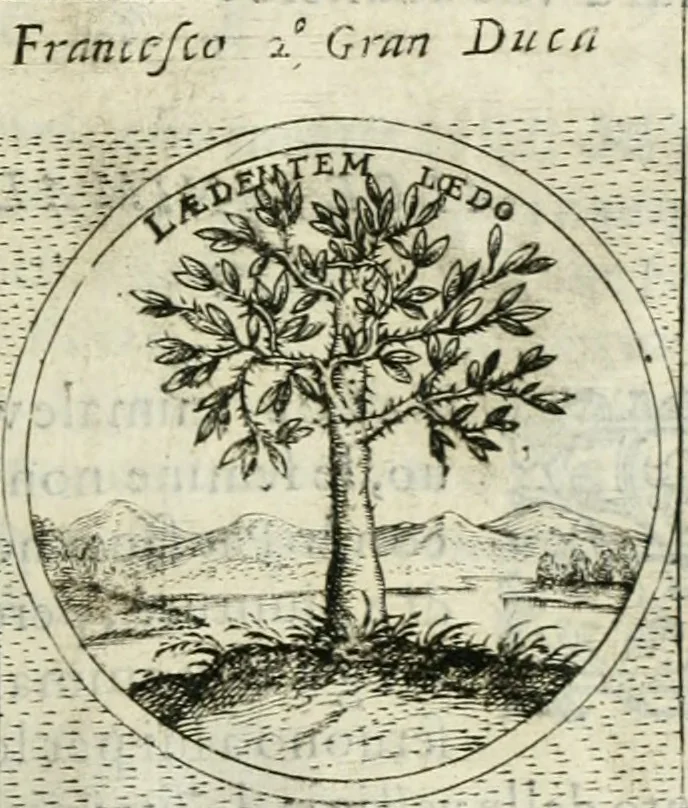 An illustration from Teatro d'imprese, 1623, leaf 560