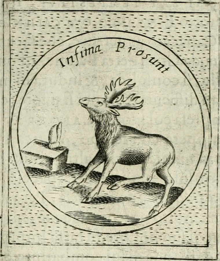 An illustration from Teatro d'imprese, 1623, leaf 562