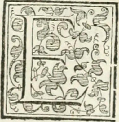 An illustration from Teatro d'imprese, 1623, leaf 563