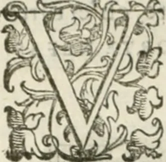An illustration from Teatro d'imprese, 1623, leaf 567