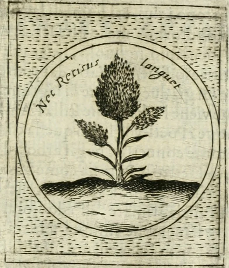 An illustration from Teatro d'imprese, 1623, leaf 574