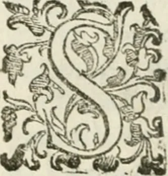 An illustration from Teatro d'imprese, 1623, leaf 575