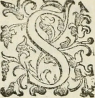 An illustration from Teatro d'imprese, 1623, leaf 579