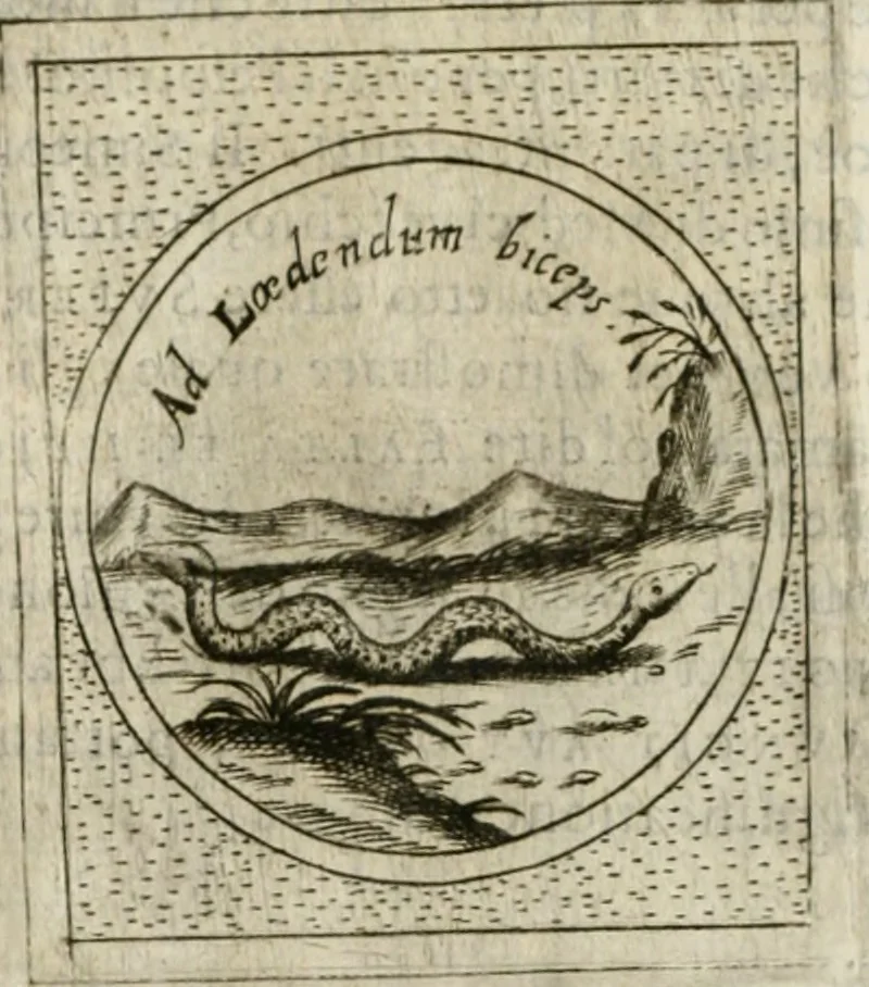 An illustration from Teatro d'imprese, 1623, leaf 581