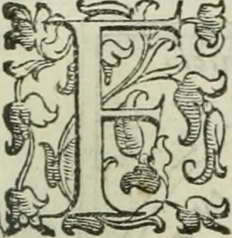 An illustration from Teatro d'imprese, 1623, leaf 612