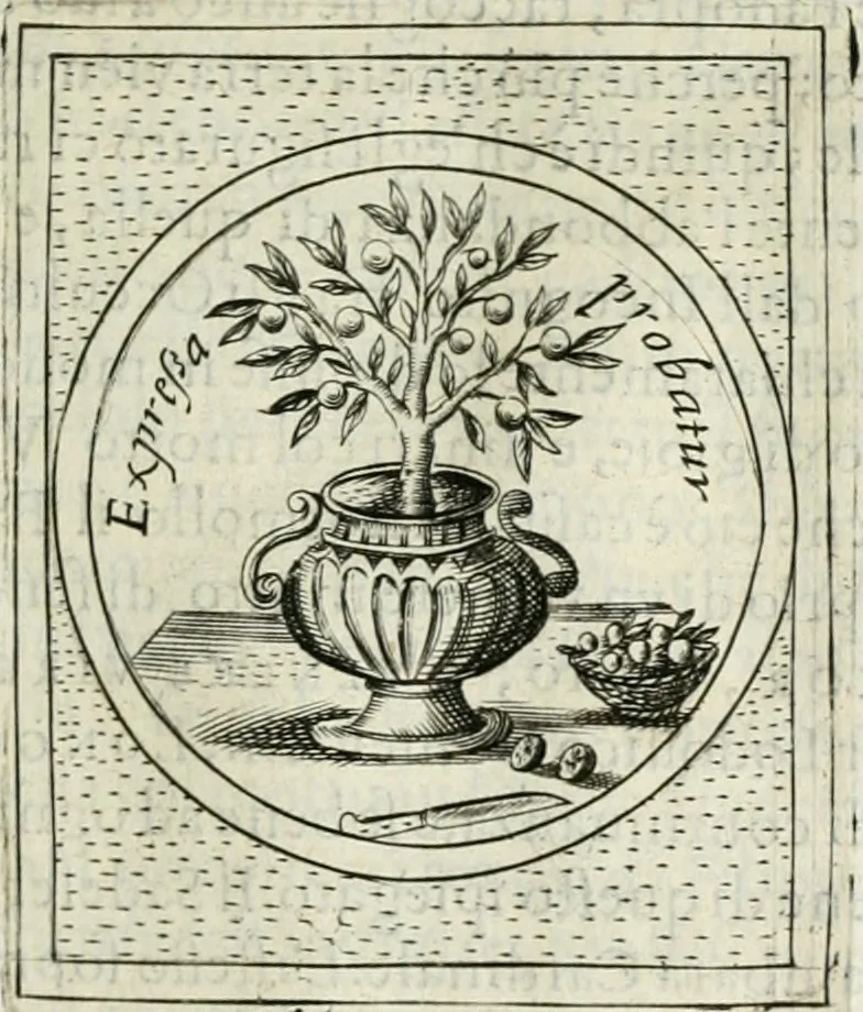 An illustration from Teatro d'imprese, 1623, leaf 612