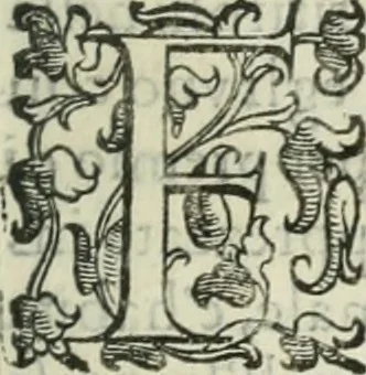 An illustration from Teatro d'imprese, 1623, leaf 622
