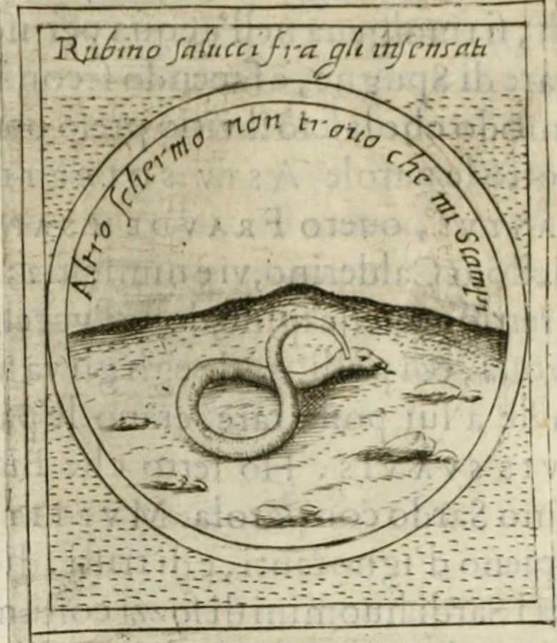 An illustration from Teatro d'imprese, 1623, leaf 625
