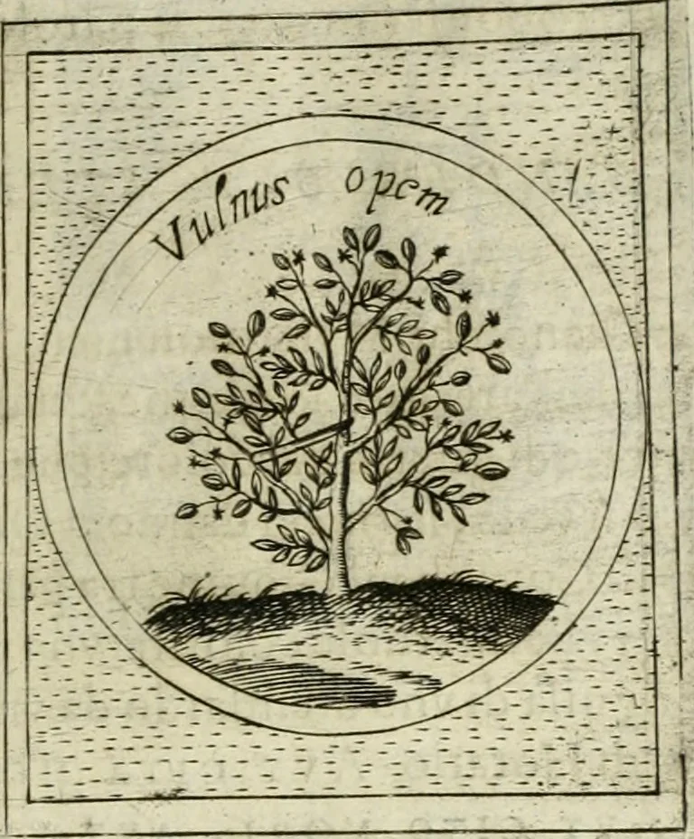 An illustration from Teatro d'imprese, 1623, leaf 636