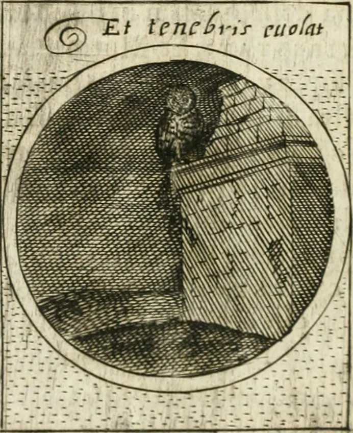 An illustration from Teatro d'imprese, 1623, leaf 639