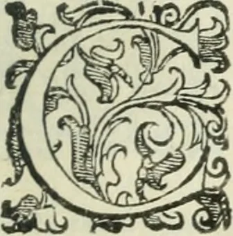 An illustration from Teatro d'imprese, 1623, leaf 640