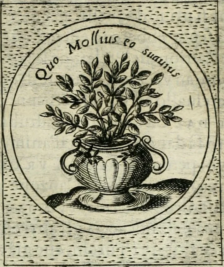 An illustration from Teatro d'imprese, 1623, leaf 642