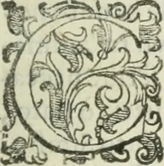 An illustration from Teatro d'imprese, 1623, leaf 642