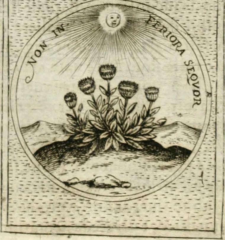 An illustration from Teatro d'imprese, 1623, leaf 669
